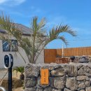 스테이 안셈 이미지