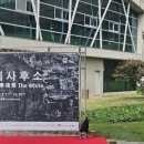 시화문화마을금봉미술관 이미지