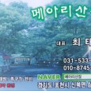 깊이울오리 이미지