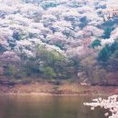 호암정원 이미지