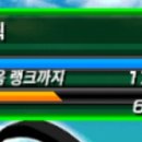 꿀팡