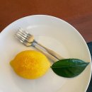 모링모링 이미지