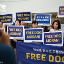 모란종합시장 이미지