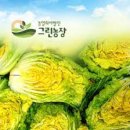 배추몰