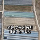 영천공인중개사사무소 이미지