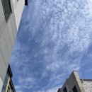 서천경희한의원 이미지