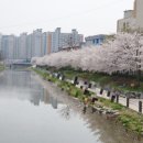 삼산초등길 이미지