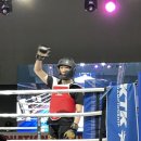 강진태권도 이미지