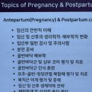 한국역학학회 | <대한여성건강물리치료학회-산전&산후 물리치료 레벨1>