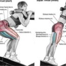 클럽훈짐 이미지