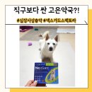 이음약국 | 인천 고은약국에서 펫버킷보다 싸게 심장사상충약 구입