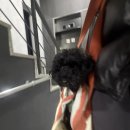 솔하커피