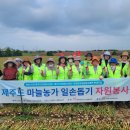 제주특별자치도자원봉사센터 한국공보뉴스