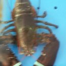 모항농장 이미지