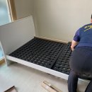 올리브빌 이미지