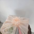 예간 | [꽃담과] 상견례 선물 추천, 실패없는 프리미엄 과일 핸들박스(대) 후기)