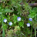 오늘하루 이미지