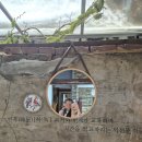 명동 놀거리/익선동 맛집 추천 (식물cafe / 구테이블)