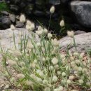 호텔오월로 이미지