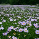 야산목장 이미지