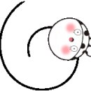 네오클린 이미지