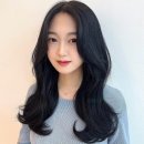 포레스트S