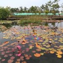 전라남도 무안군청 이미지