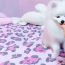 태양pc방 이미지