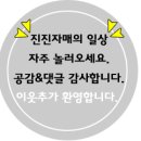 스팀세차 카앤덴트 수원점에서 하고 왔어요.