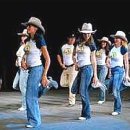 라인댄스 이미지