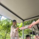 물놀이가자 이미지