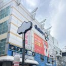 01-72 동구 | [광주/충장로] 아이와 데이트 함께 갈만한곳 실내동물원 “헬로애니멀”