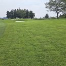 해비치cc 이미지