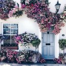 카페스크린 이미지