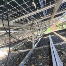 태양축산 이미지