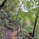 시동로 | 홍천 비발디파크 1박 2일 코스 | 가을 여행 맛집·명소·카페 총정리