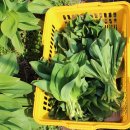 방산두타연농장 이미지