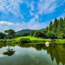 여주-0700 이미지