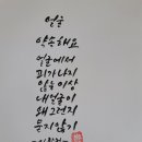 돼지방 이미지