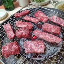 굴사랑백반 | 1월 일상 : 2023년 첫 달(눈, 배구, 신라호텔, 설날)