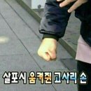 [2025 경찰청 청년인턴] 합격 후기