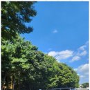 열린행정사사무소 이미지