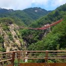 거창 항노화 힐링랜드 이미지