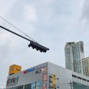 침산 | 대구 침산동헬스장 바디엔지니어스짐 침산점 후기
