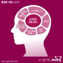전성1호 이미지