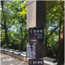 부산 태종대(수국) (태종대 주차장~삼거리~태종사(수국)~영도등대~전망대(모자상)~남향조망대~구명사...