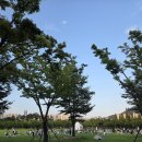 2025년 거제 돗자리 영화제-인사이드아웃 | 부산 이색 데이트 부산 시민공원 한여름밤 잔디밭 영화제 후기