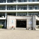 [대전원데이클래스] 대전사회혁신센터 아크릴꽃풍선만들기 후기