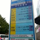로뎀사랑 이미지