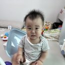 24시금강산흑염소 이미지